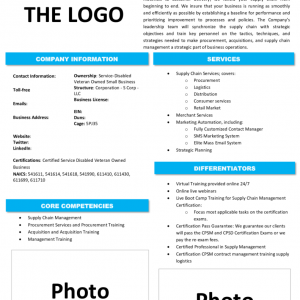 Capability Statement Example5 791x1024 1