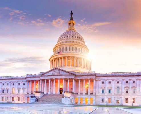government contracts capital building