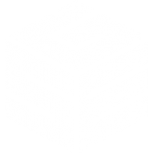 GSE logo transparent