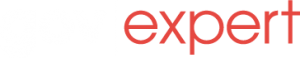 gov expert1 2
