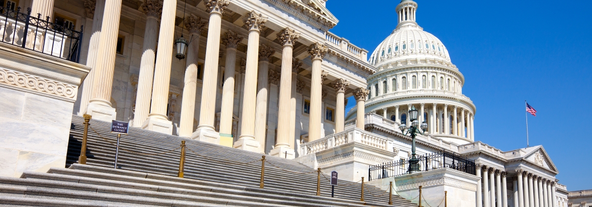 U.S. Capitol Building in Washington D.C