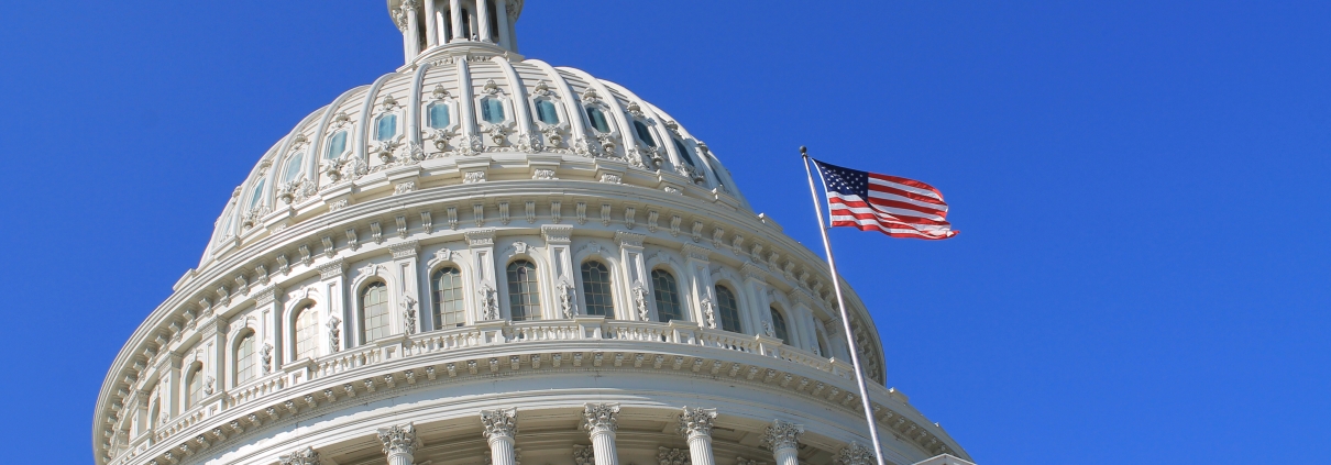 Capitol Building in Washington DC USA