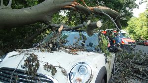 FEMA Registration for Small Businesses: Why It Matters and How to Get Started 3